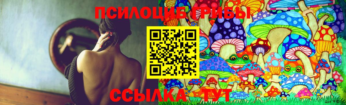 Псилоцибиновые грибы Psilocybine cubensis  Вход с VPN  где купить наркоту  Малгобек  Галлюциногенные грибы прущие грибы 
